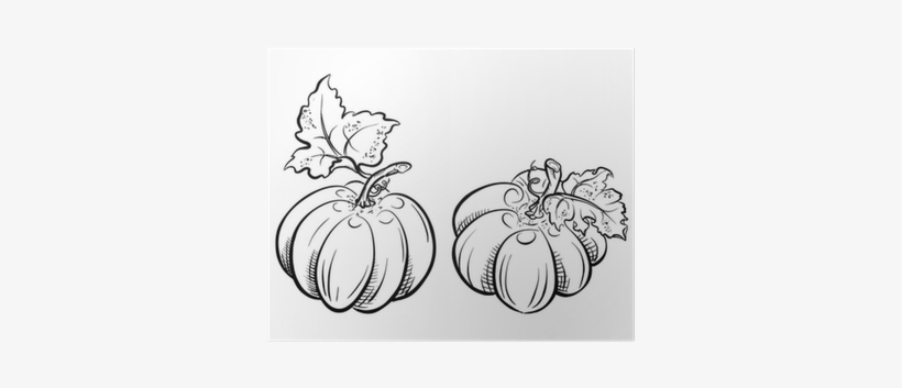 Drawing, transparent png download