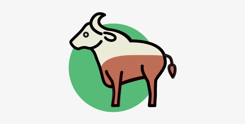 The Water Buffalo Is A Large Bovine Species Originating - Agriculture, transparent png download