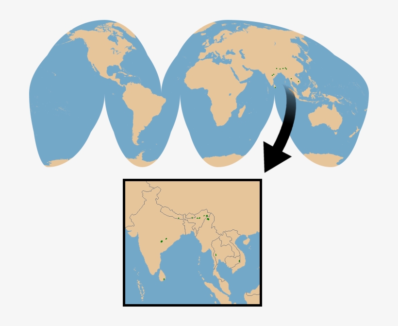 Conservation Status - Stickerbrand Home Décor Vinyl Wall Art World Map Of, transparent png download