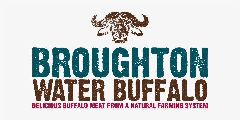 Broughton Water Buffalo - Bridget Jones Movie Poster, transparent png download