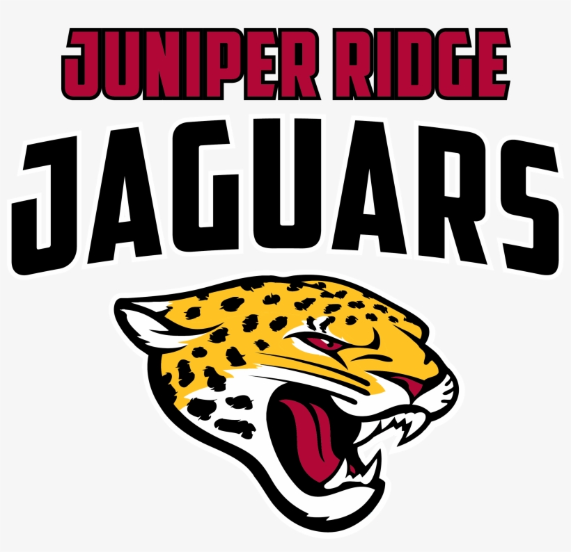 School District 73 School Logo - Jacksonville Jaguars Logo 2017, transparent png download