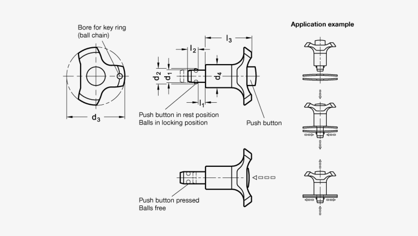 Zoom Stainless Steel Ball Lock Pins Gn - Kugelsperrbolzen, transparent png download