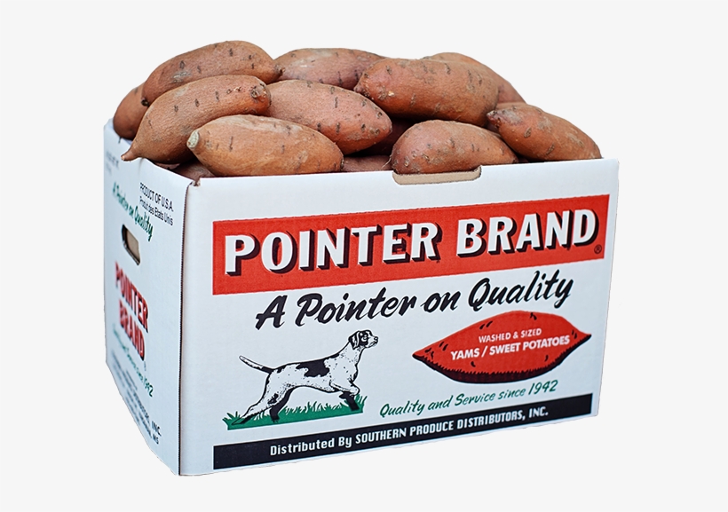 Pointer Brand - Sweet Potatoes 40 Lb Box, transparent png download