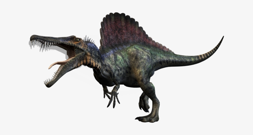 Spinosaurus Animals Dinosaur Reptile - T Rex Spinosaurus Dinosaurs, transparent png download