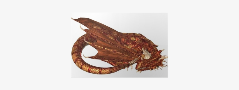 Stock Photography, transparent png download