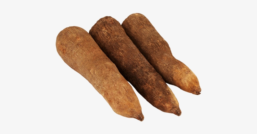 Great Ghanaian Puna Yam - Tubers Of Yam Png, transparent png download