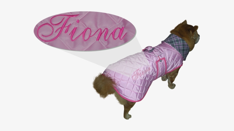 Incluso Podemos Personalizar La Prenda Con El Nombre - Ropa Personalizada Perros, transparent png download
