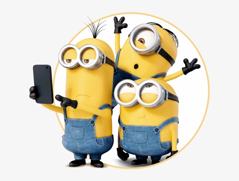 Customer Information - Hostess Banana Twinkies (10 Cakes) 13.58 Oz (385g), transparent png download