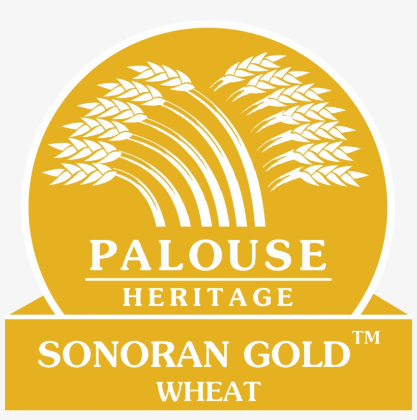 Sonorangoldlogo - Wheat Logo Png Gold, transparent png download