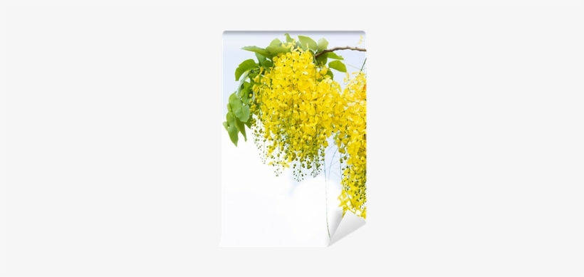 Golden Flower, transparent png download