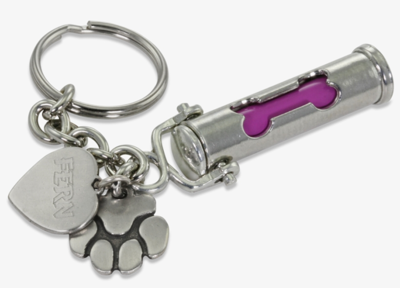 Keychain, transparent png download