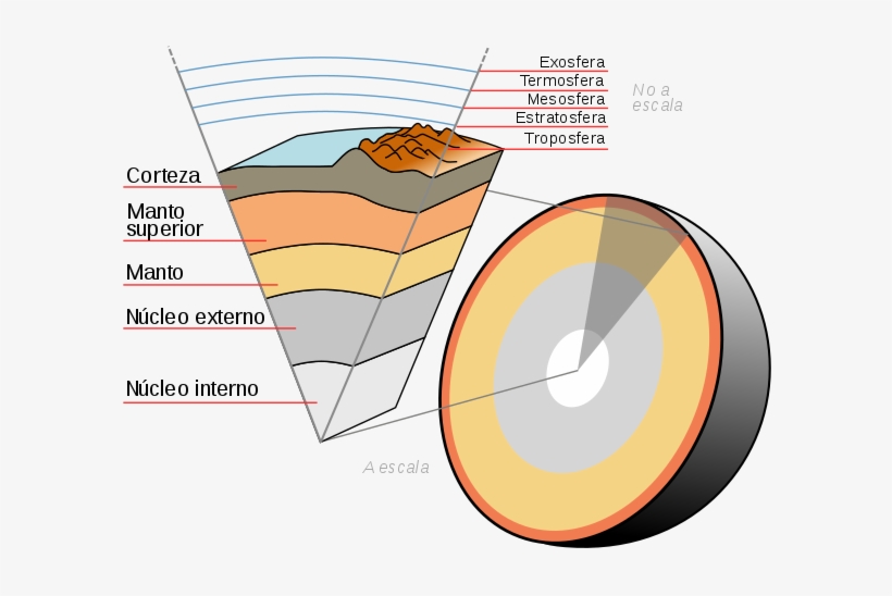 Corte En Sección Transversal Das Capas Que Constitúen - Esquema De Las Capas Internas De La Tierra, transparent png download