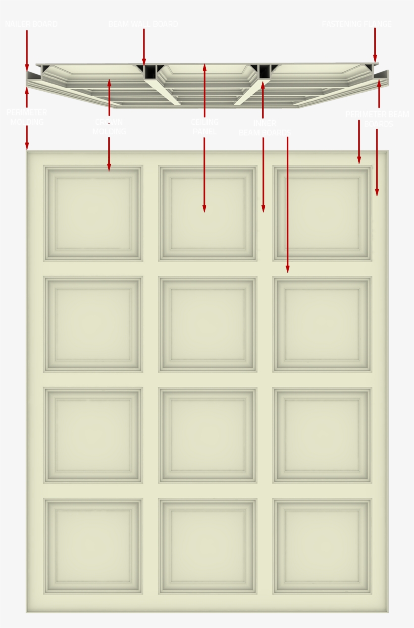 Anatomy Of Tcc White Text & Red Arrows - Coffer, transparent png download