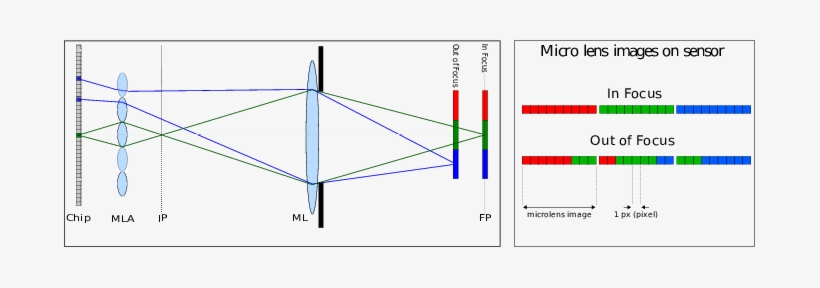 2d Sketch Of The Optical Setup Of The Focused Plenoptic - Diagram, transparent png download