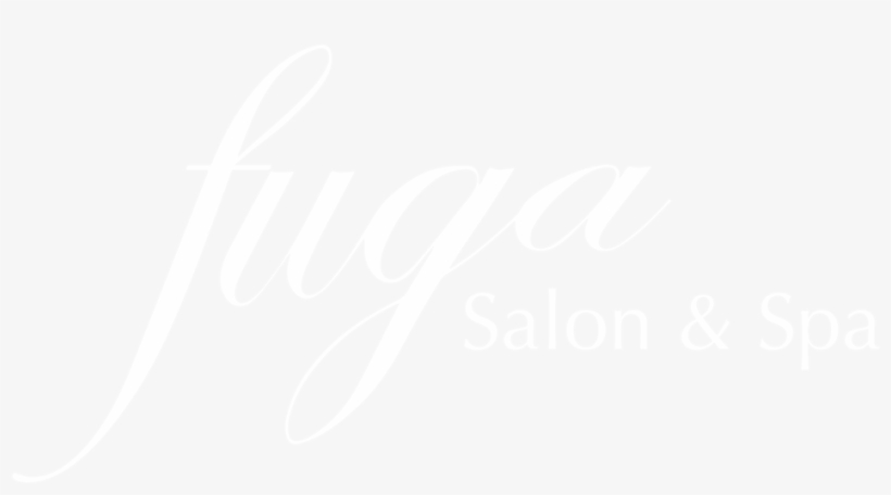 Vector White, transparent png download