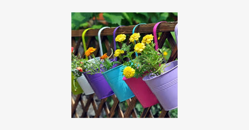 Looking At Plush Greens, Beautiful Flowers And Plants - Hanging Balcony Planter Cheap, transparent png download