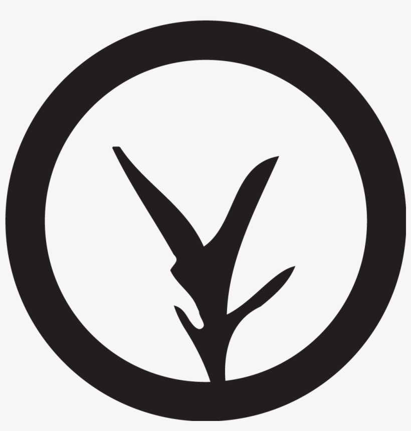 Play Button Icon Png, transparent png download