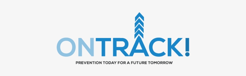 Needle And Drug Litter Survey - Company, transparent png download