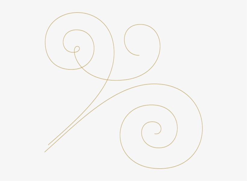 Thanks To Our Generous Friends For The Gift Of Their - Circle, transparent png download