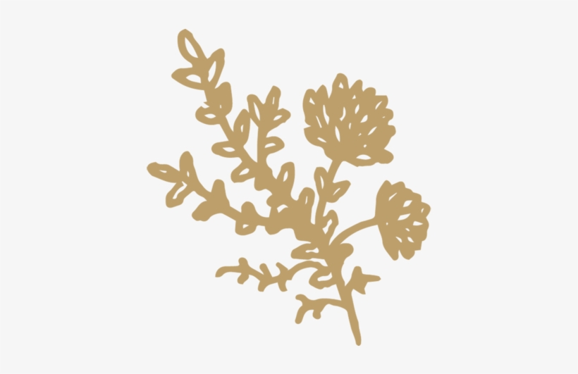 Flowersprigs Gold Sm - Illustration, transparent png download