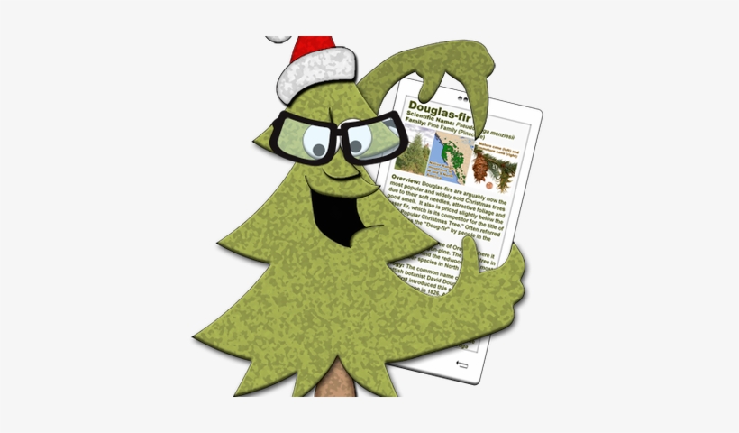 Doug Fir - Christmas Tree, transparent png download