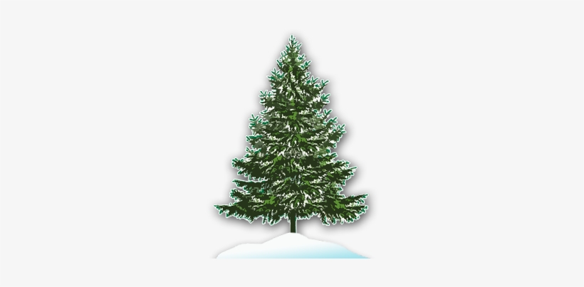 Home - Christmas Tree Lot Clipart, transparent png download