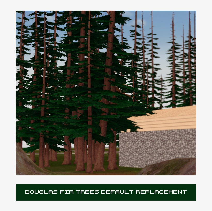 Peppermint & Ginger [download] This Guy - Colorado Spruce, transparent png download