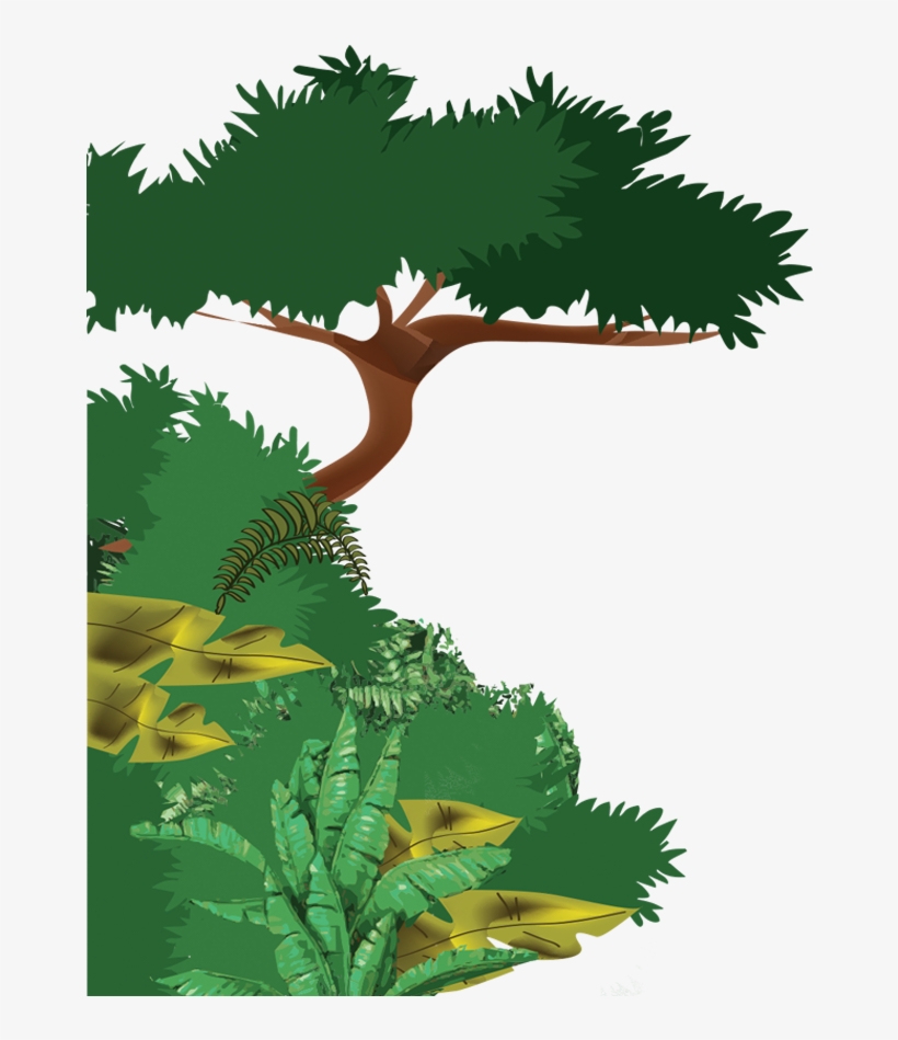 There Are A Variety Of Plants And Small Animals From - Mexico, transparent png download