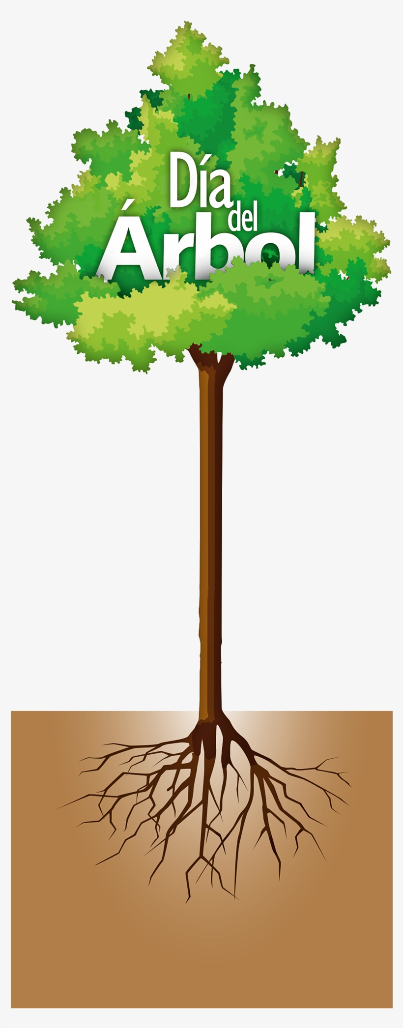 El Primer País Que Instituyó Un Día En El Año Para - Tree Vector, transparent png download