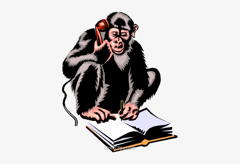 Monkey - Monkey Funny Cartoon Hd, transparent png download