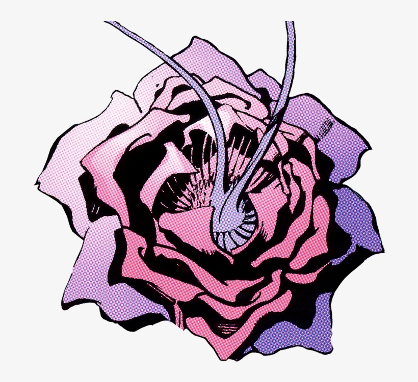 Este Artículo Es Un Esbozo De Una Planta, Una Raíz, - Hair Dryer, transparent png download