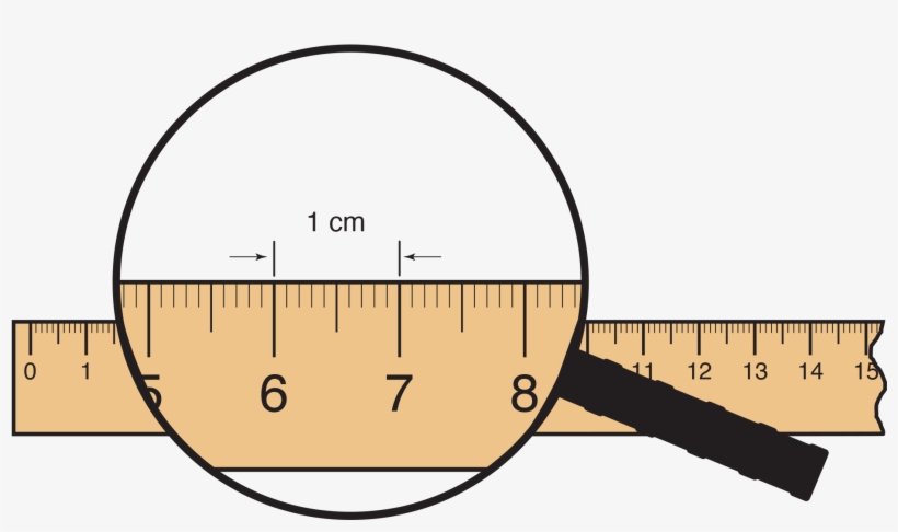 Centimeter X - Meterstick Cartoon, transparent png download