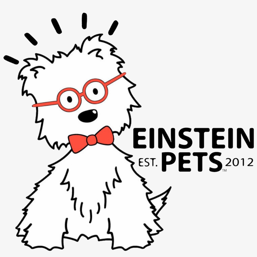 Einstein Pets 1075-4107 All Na, transparent png download