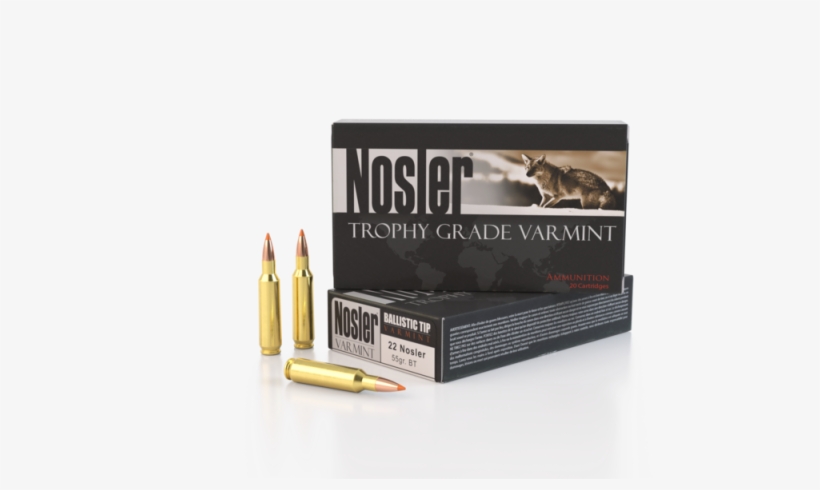 Nosler - - Nosler Nos 60131 300 Wby 210 Ablr 20/10, transparent png download
