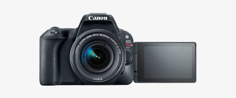 The Sl2 Is Currently Available For Preorder, And Will - Canon Sl2, transparent png download