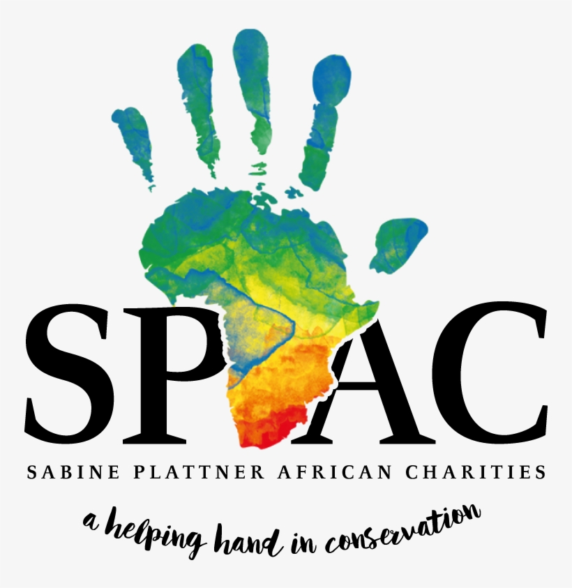 Sabine Plattner African Charities Logo - Charities For Africa, transparent png download