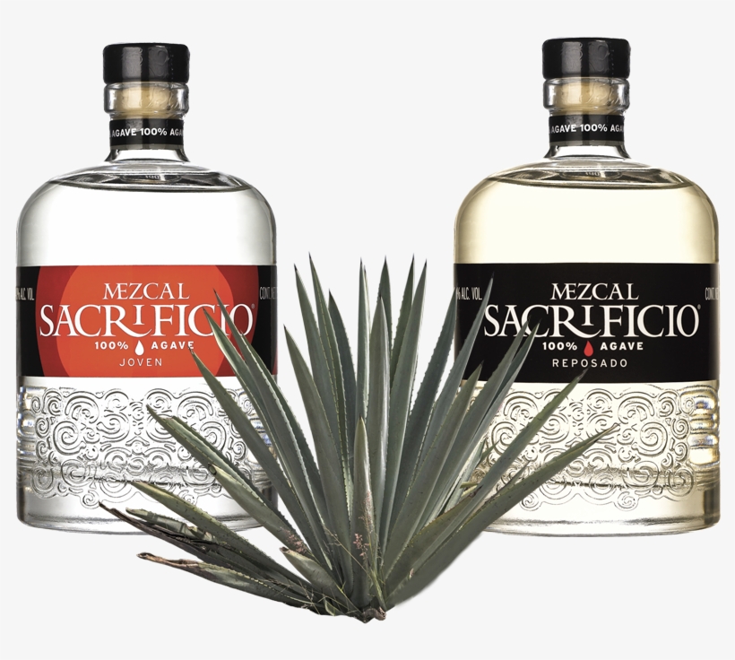 Botellas Mezcal Sacrificio - Botellas De Mezcal, transparent png download