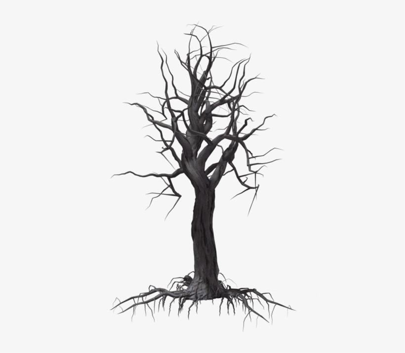Creepy Tree 04 By Wolverine041269 On Clipart Library - Mr. Teter’s Treasure [book], transparent png download