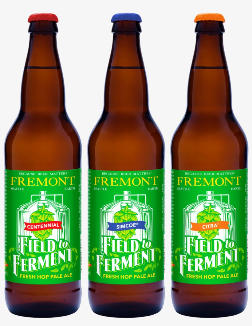 22oz Bottle - Bottle, transparent png download