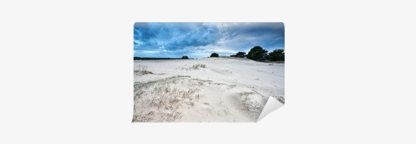 Drents-friese Wold, transparent png download