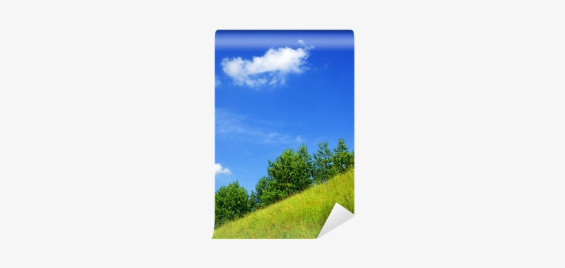 Field, transparent png download