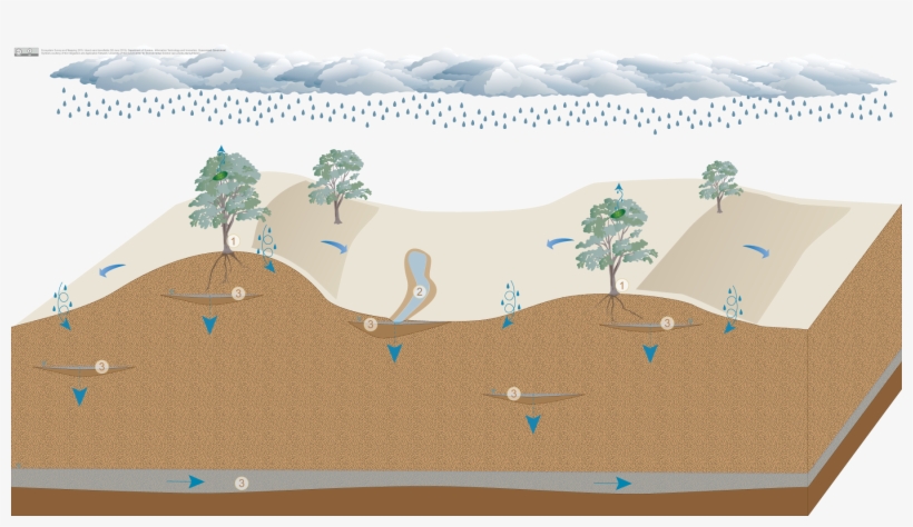 Wind-blown Inland Sand Dunefields - Tree Wall Calendar, transparent png download