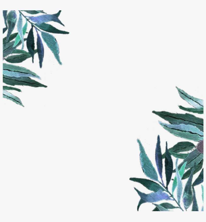 K-pop, transparent png download