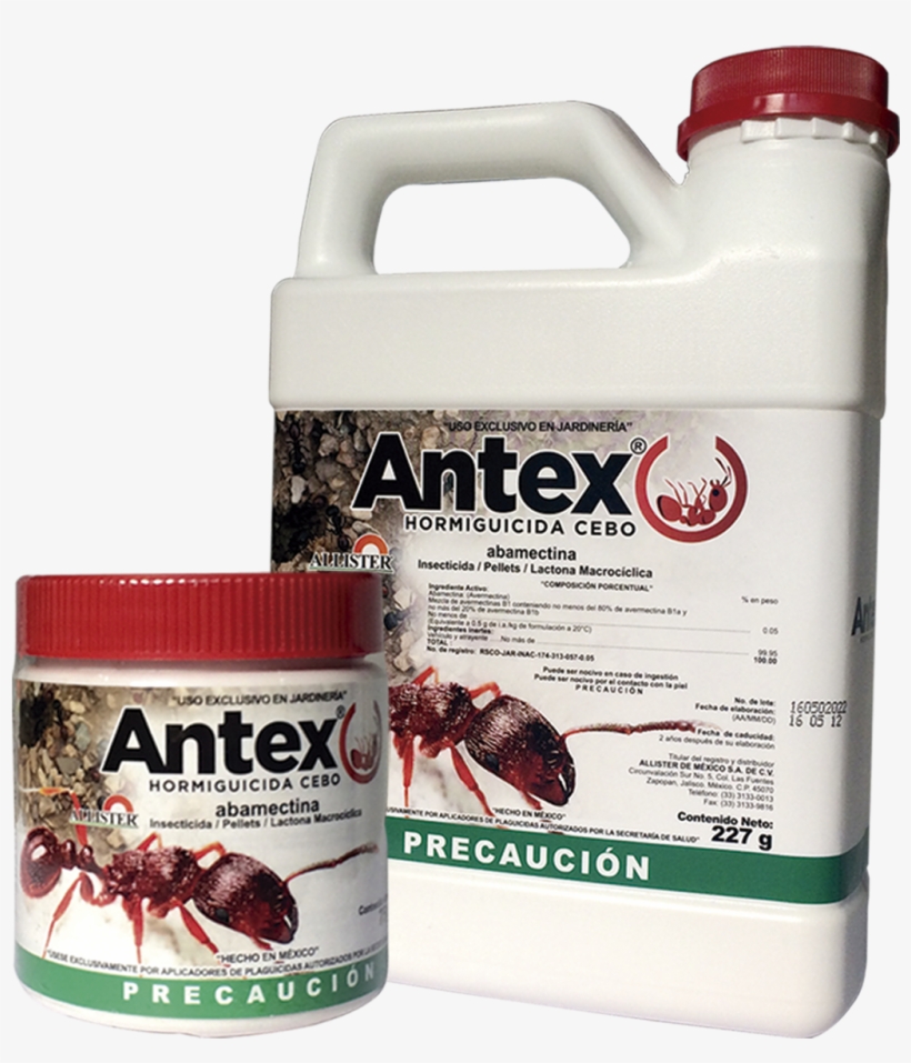 Hormigas - Bottle, transparent png download