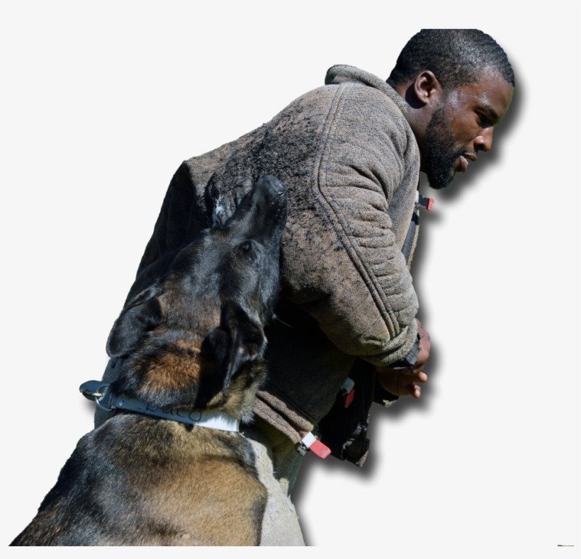 Police Dog, transparent png download