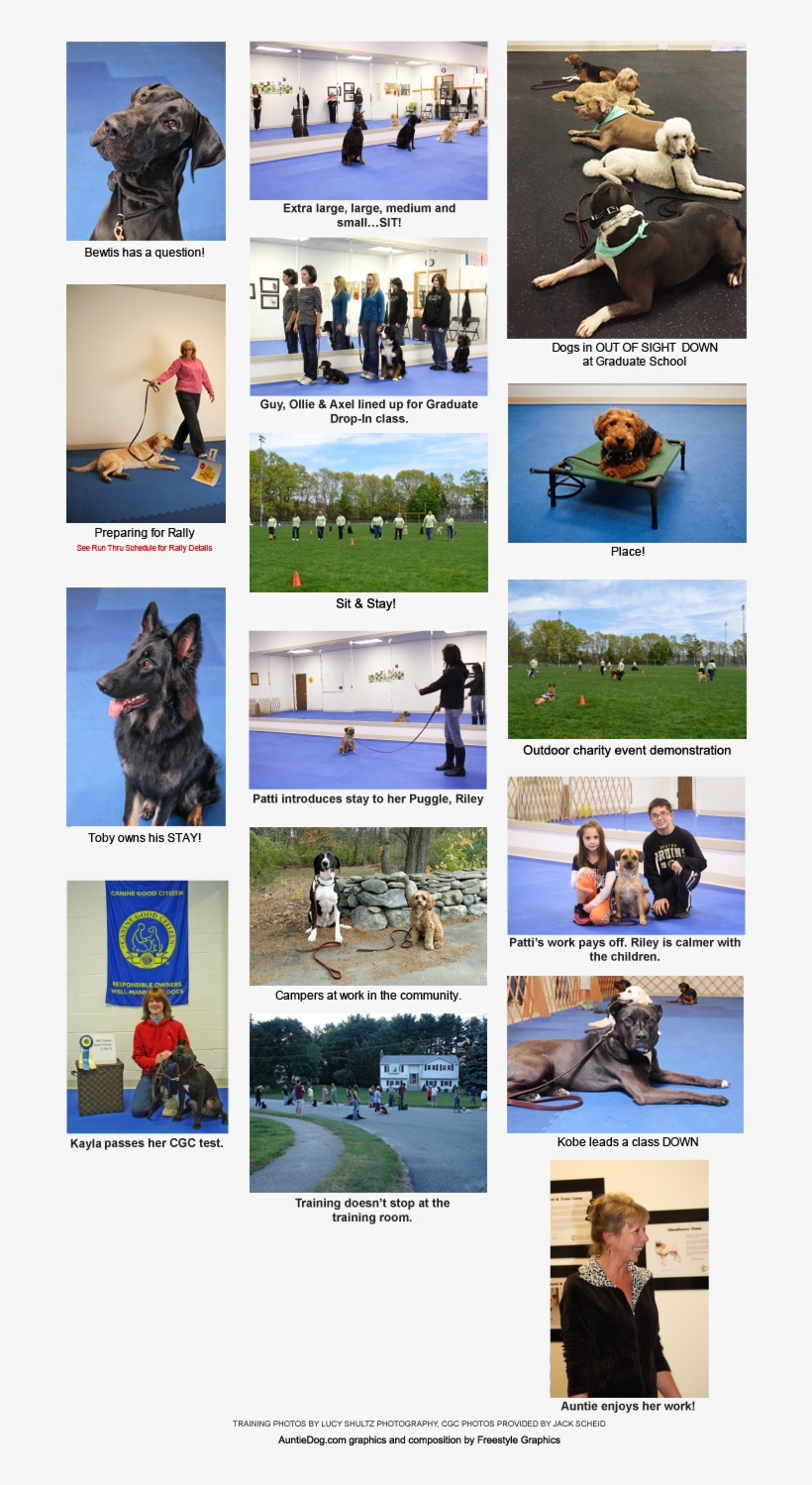 Training Cam - Police Dog, transparent png download