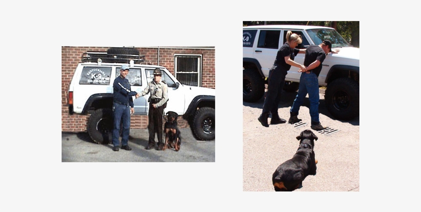 Attention Police K-9 Division Supervisors And/or Officers - Police Dog, transparent png download