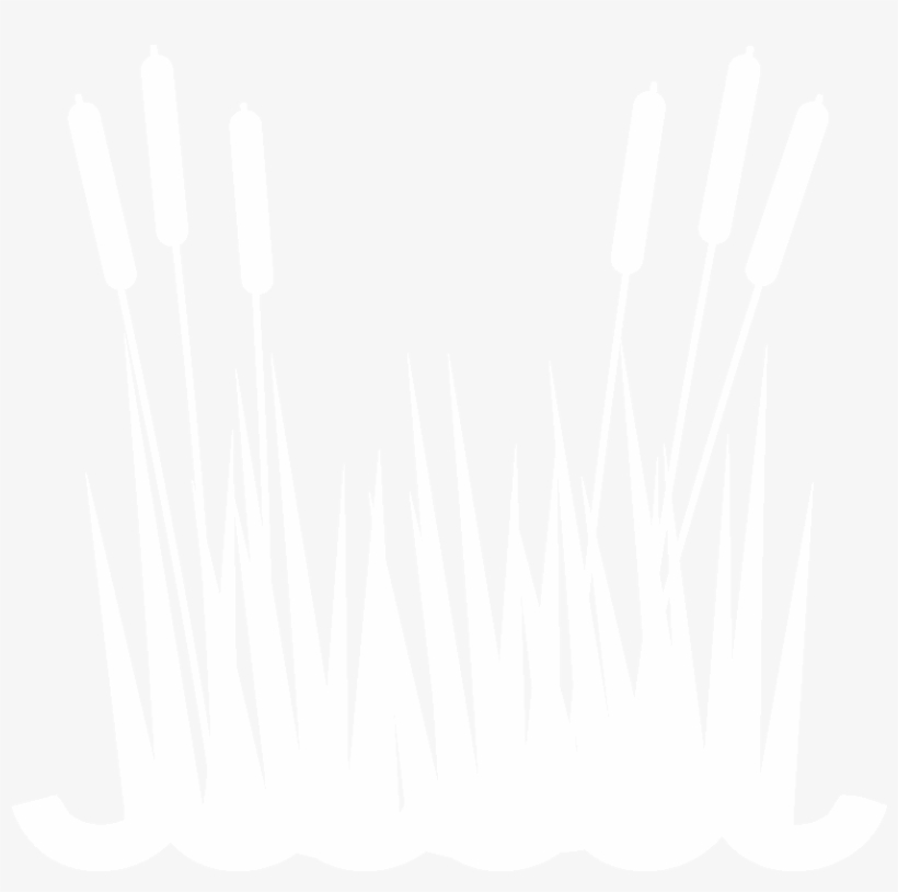 They Nest In Marshes, Bogs, Wet Meadows, Prairies, - Illustration, transparent png download