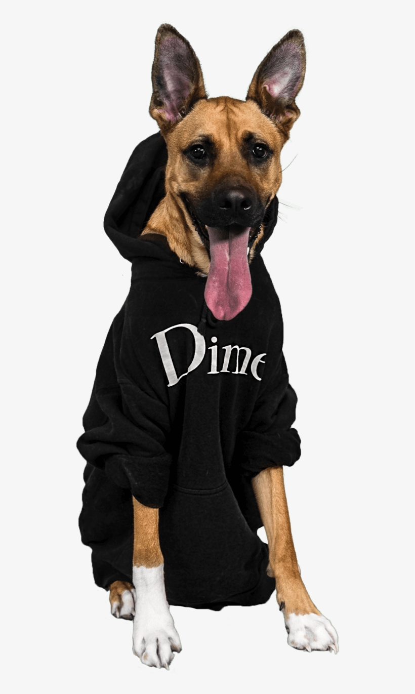 Dogpack Opted For Influencers Of The Four-legged Variety - Canis Panther, transparent png download