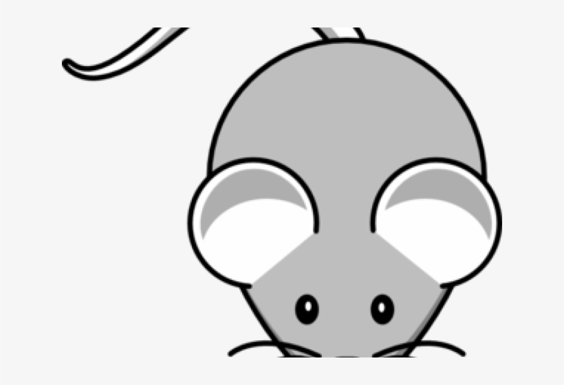 Cartoon Mouse, transparent png download